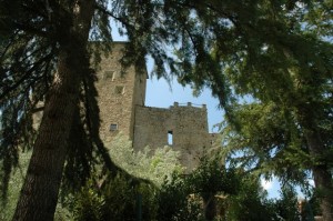 Castel San Niccolo'
