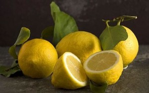 Fresh ingredients - lemons with their fresh leaves